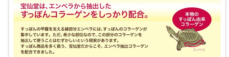 �����ۂ�R���[�Q�����T�C�g